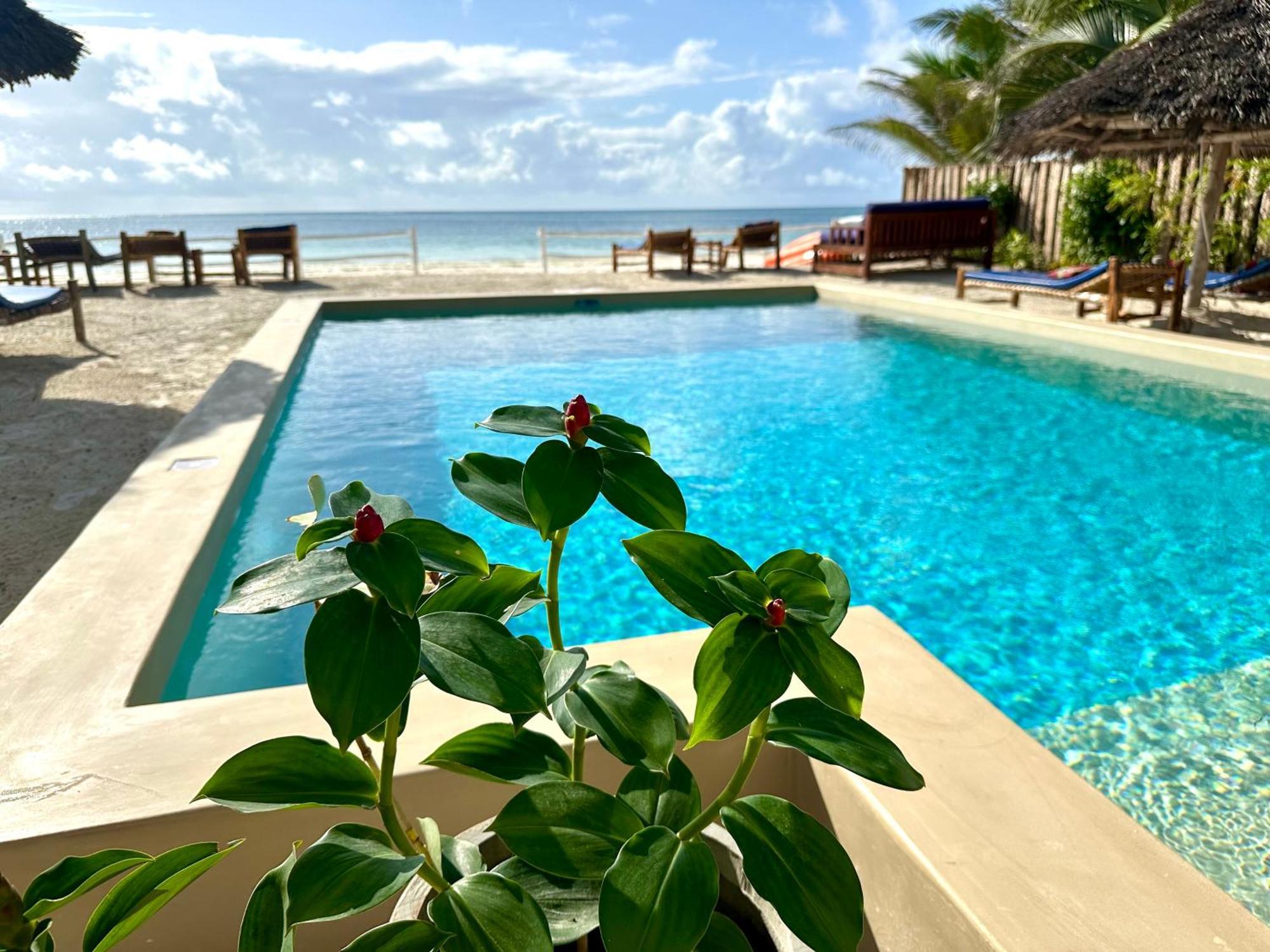 The African Paradise Hotel