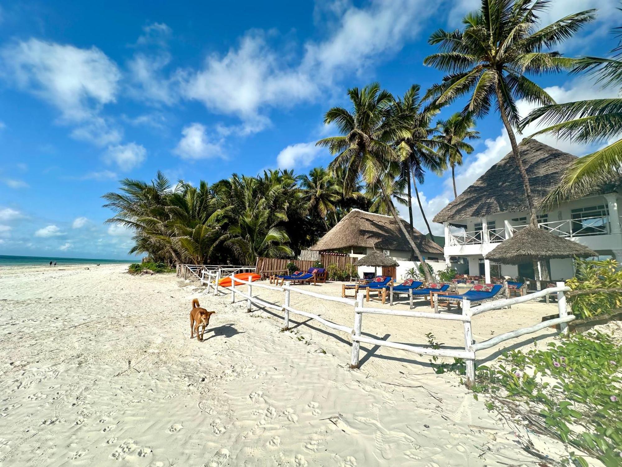 The African Paradise Hotel